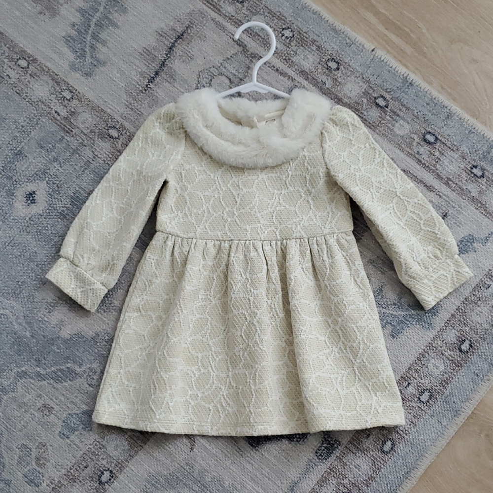 Janie And Jack Baby Girls Metallic Faux Fur Collar Dress Cream Gold Sz12-18m